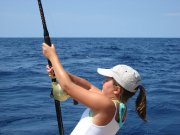 Jarrett Bay 58